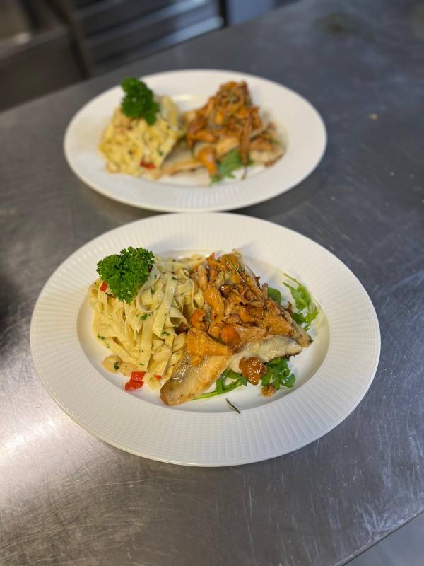 Two plates of fish on risotto